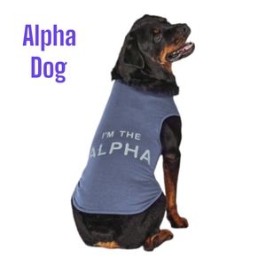 🐾 Alpha Dog T-shirt, M